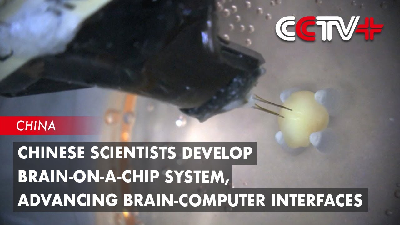 Chinese Scientists Develop Brain-on-a-chip System, Advancing Brain-Computer Interfaces