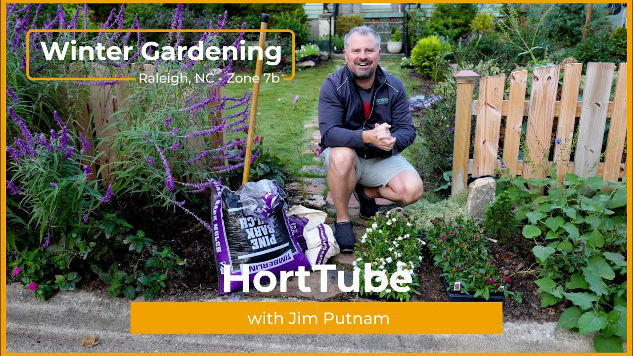 Planting Flowers for Winter and Spring