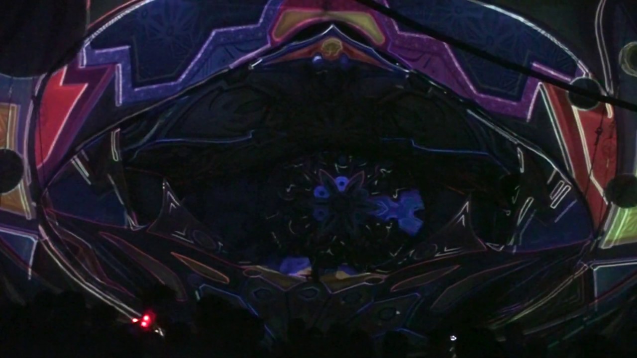 Wingman DJ Set At Free Earth Festival 2019 - TAS Visuals