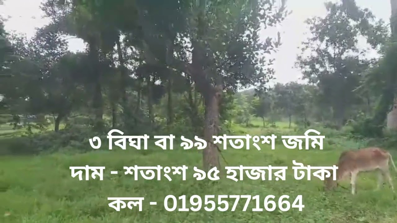 ৯৫ হাজার টাকা শতাংশে জমি বিক্রি। Low price Land sale at Kapasia. @Landflattradeandrent 