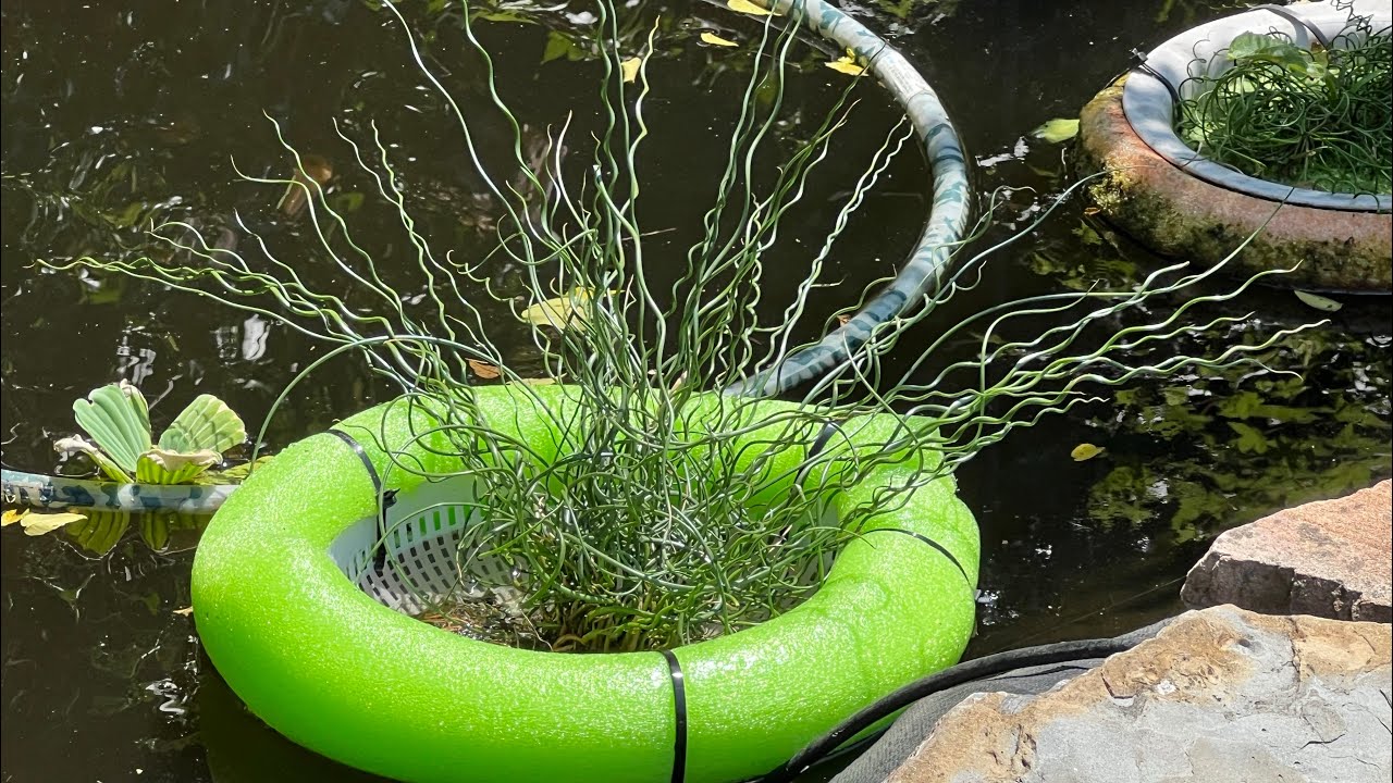 DIY Floating pond planter