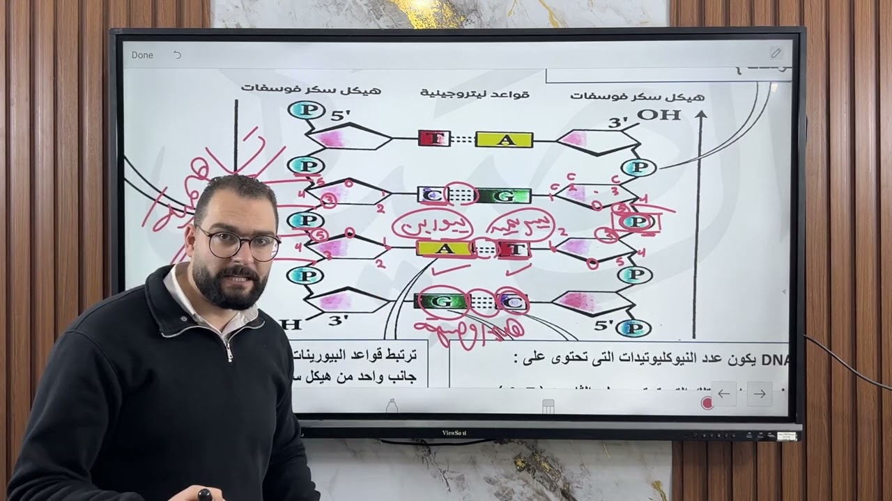 فكرة 9 الية ارتباط النيوكليوتيدات مع بعضها لتكوين جزئ DNA