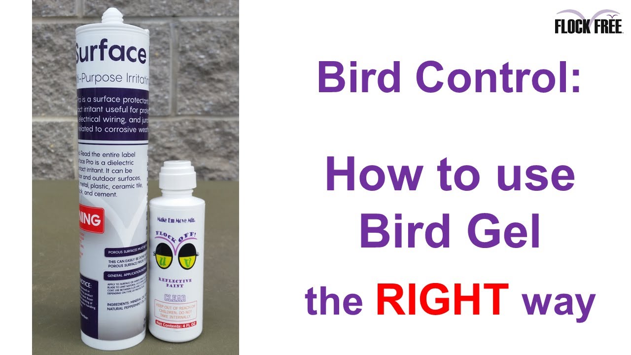 How to use Bird Gel the right way in Bird Control