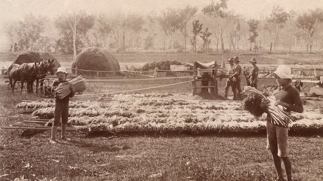 Incredible Old Australia 🇦🇺 Rarely Seen Historical Photos From Around Australia I Long Wide Roads