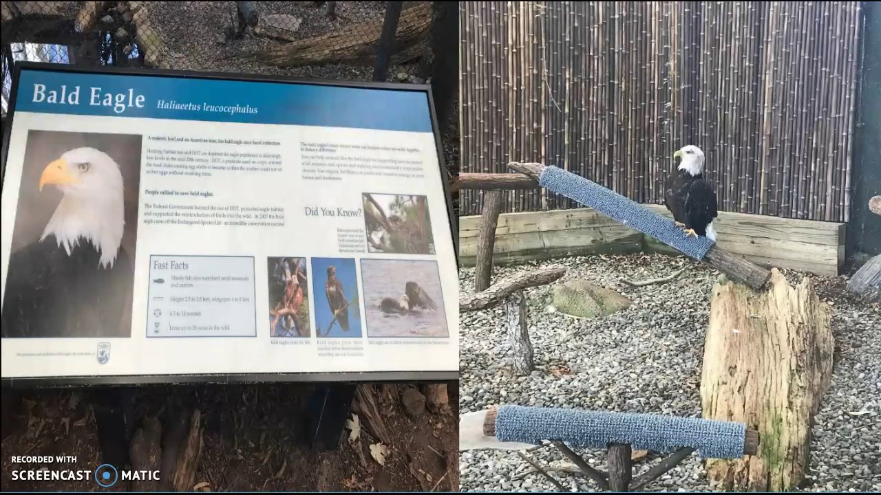 Virtual Tour of Fort Fisher Aquairum