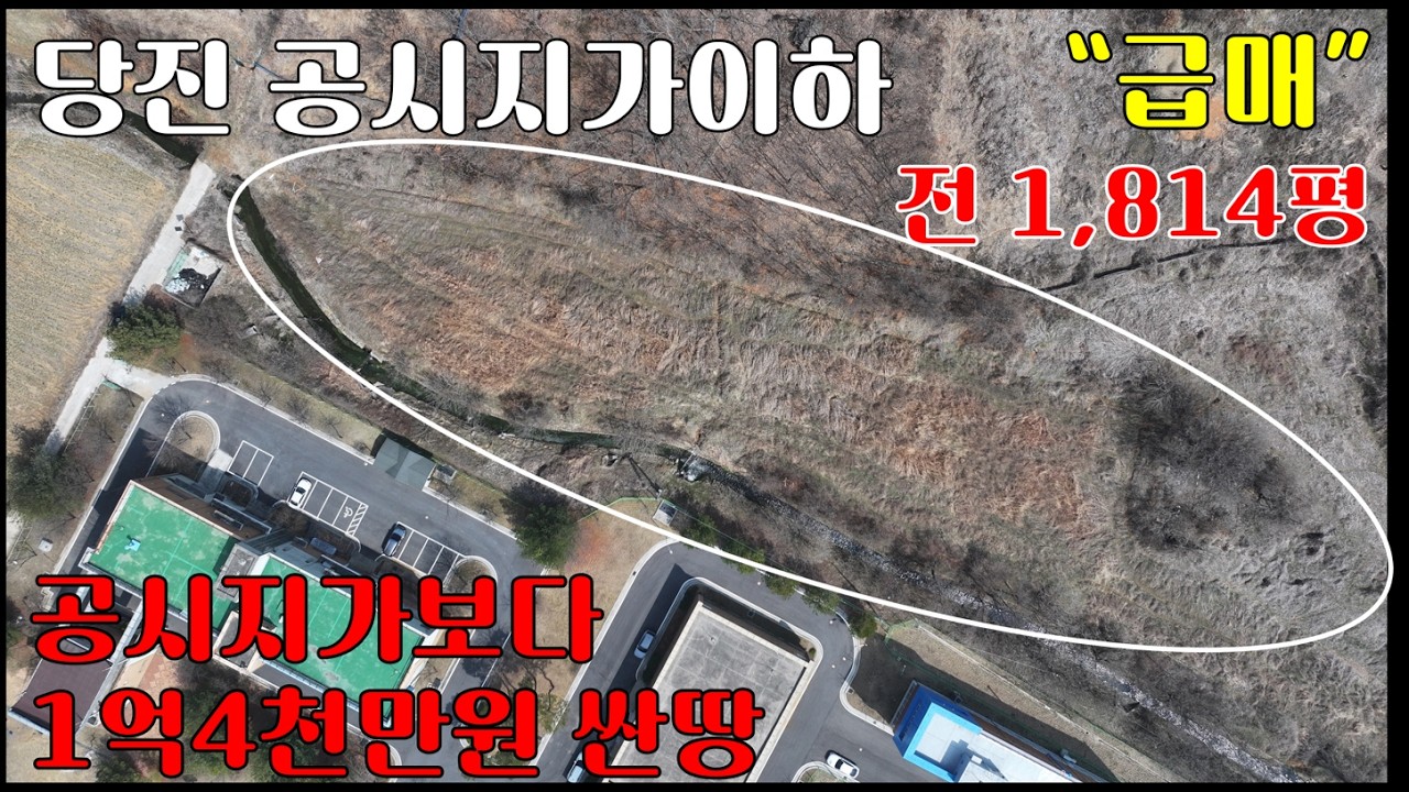 [급매]당진싼땅(토지매매)  -공시지가 이하의 송악읍 기지시리 619번 도로 인근 전 1,814평- 당진투자, 송악읍싼땅, 기지시리싼땅, 당진IC인근 당진급매