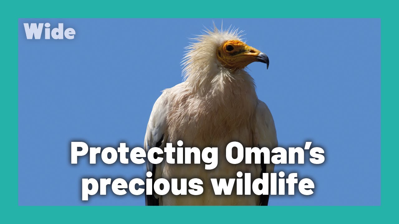 The nature reserves of the Sultanate of Oman | WIDE
