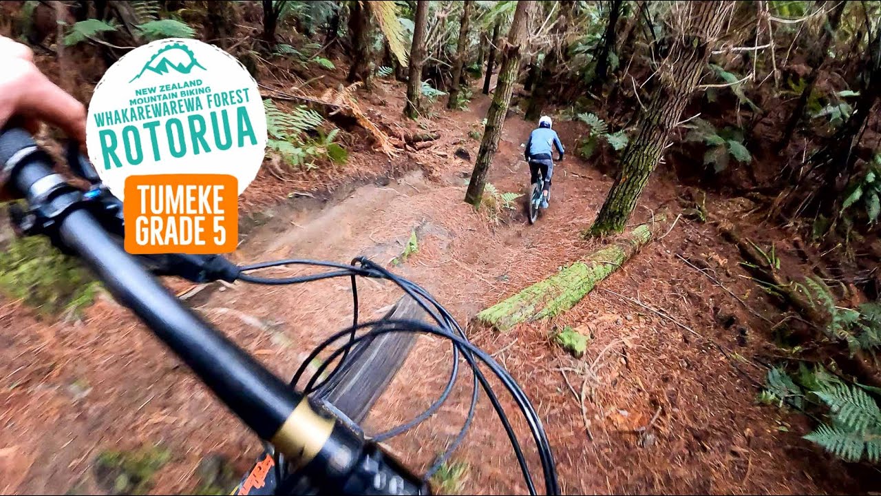 Is this THE BEST TRAIL in the forest?? - Tumeke, Rotorua