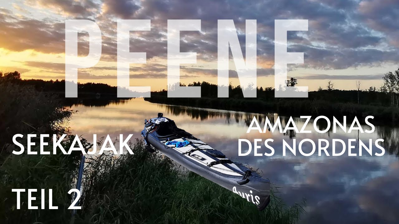 Die Peene mit dem Seekajak Teil 2 Amazonas des Nordens🦅  Vogelparadies