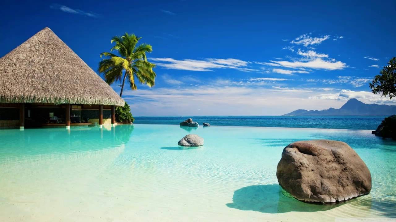 Joe Strummer - Mondo Bongo (Nicola Noir edit)