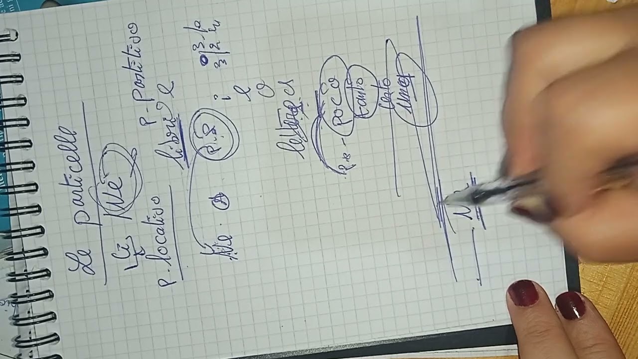 مراجعة la particella Ne/Ci.
