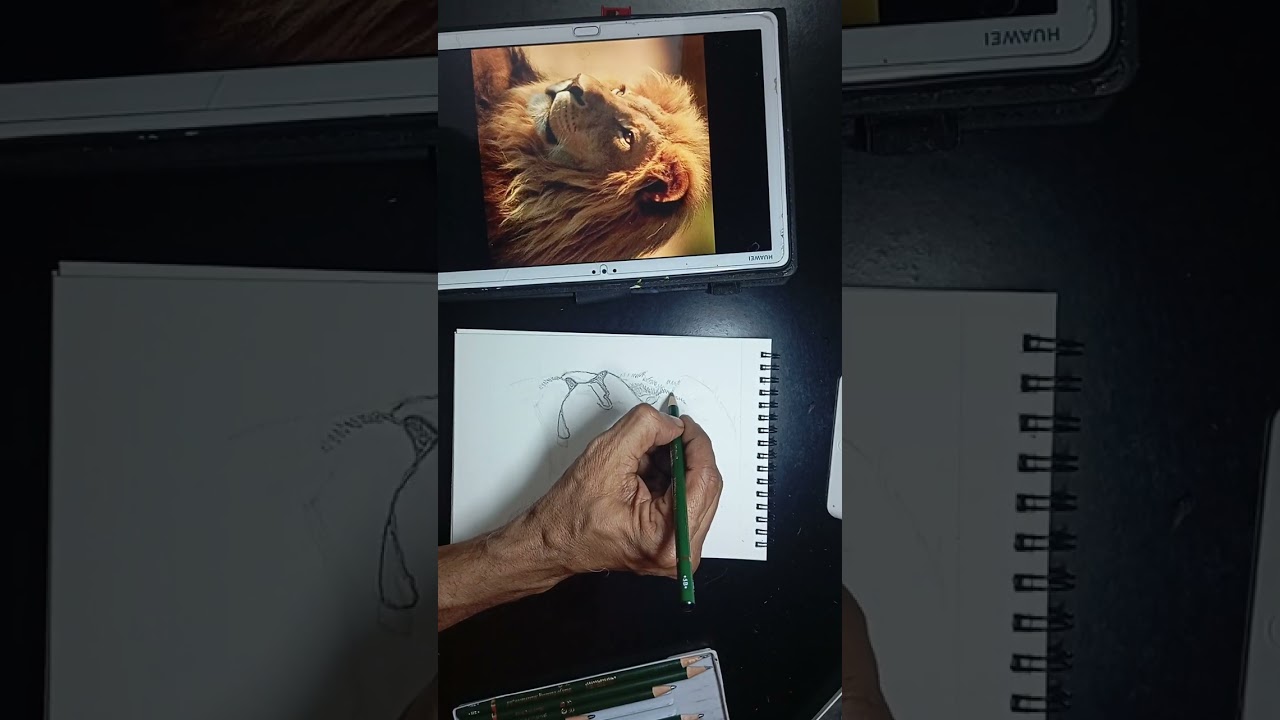Drawing practice in a short free time 3