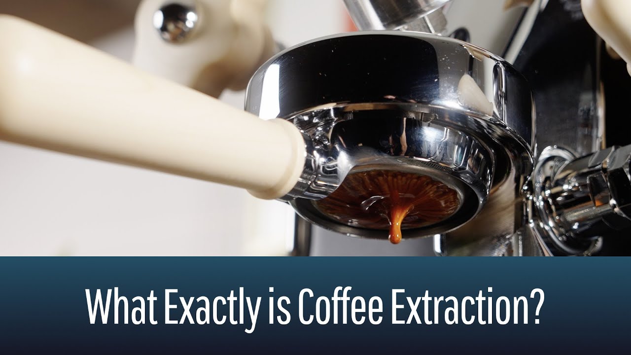 What Exactly Is Coffee Extraction?