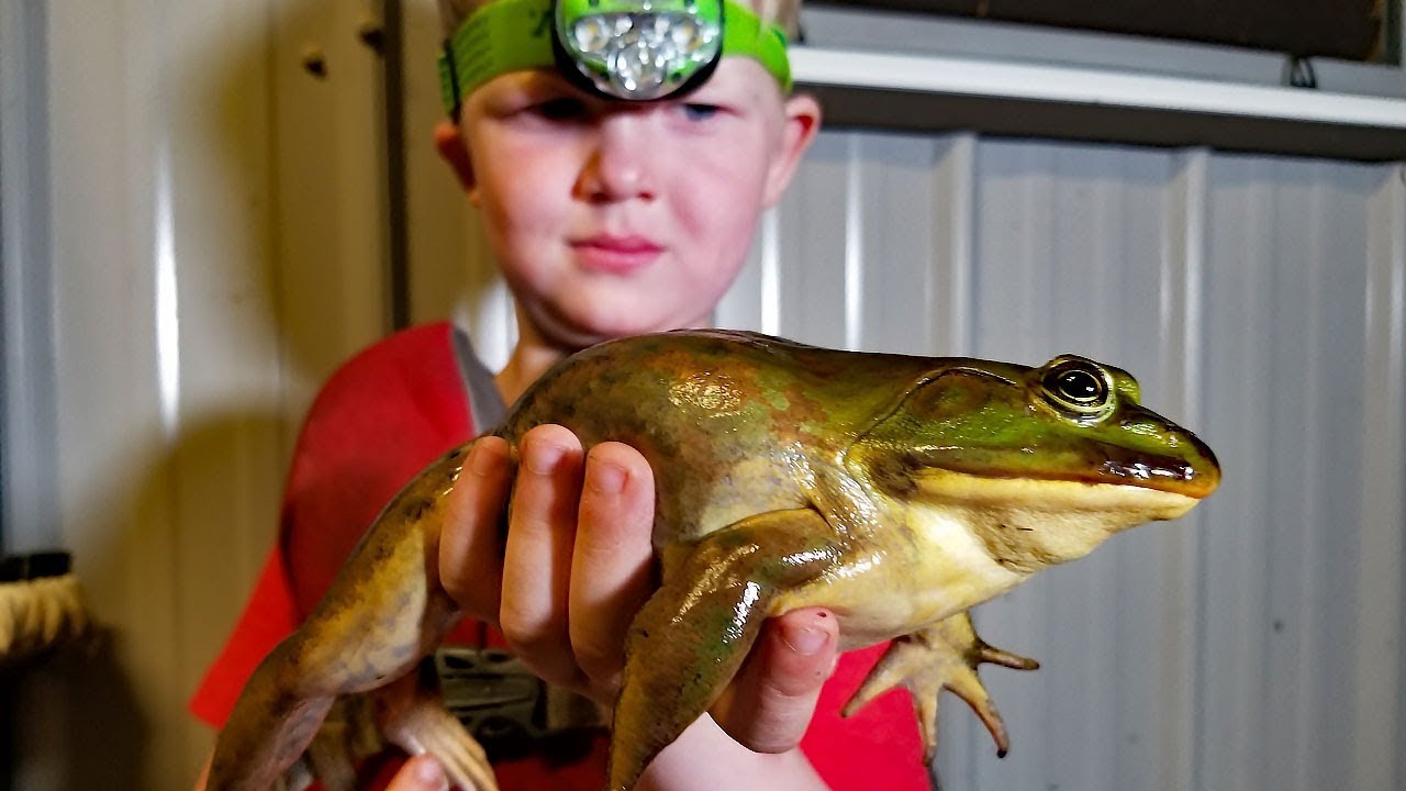 Catch and Cook FROGS, CRAW FISH & CATFISH!!!!