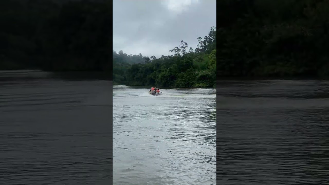 Speed boating | Sengulam dam | #touristattraction #kerala #munnar