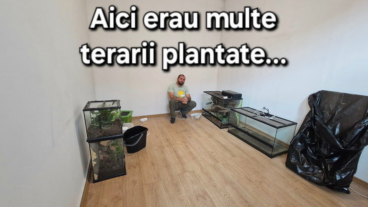 Am dus primele terarii la apartament