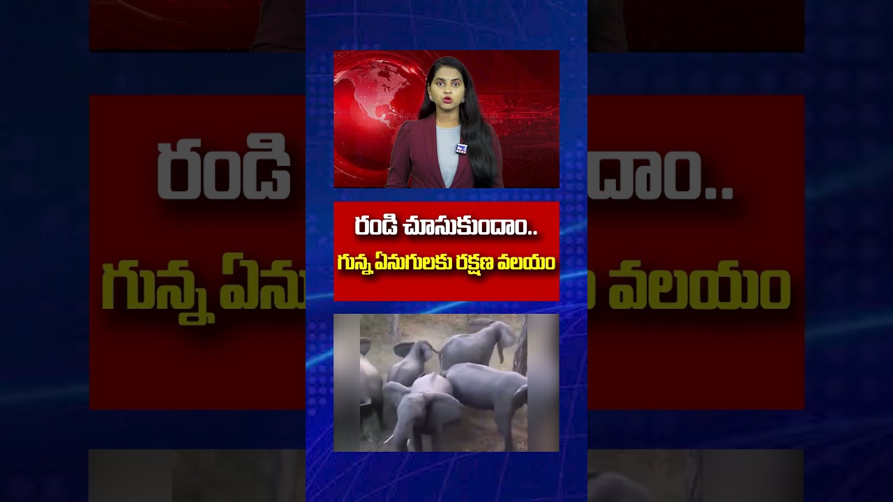 రండి చూసుకుందాం.గున్న ఏనుగులకు రక్షణ వలయం#గున్నఏనుగులు #ఏనుగులరక్షణ#ElephantProtection#BabyElephants