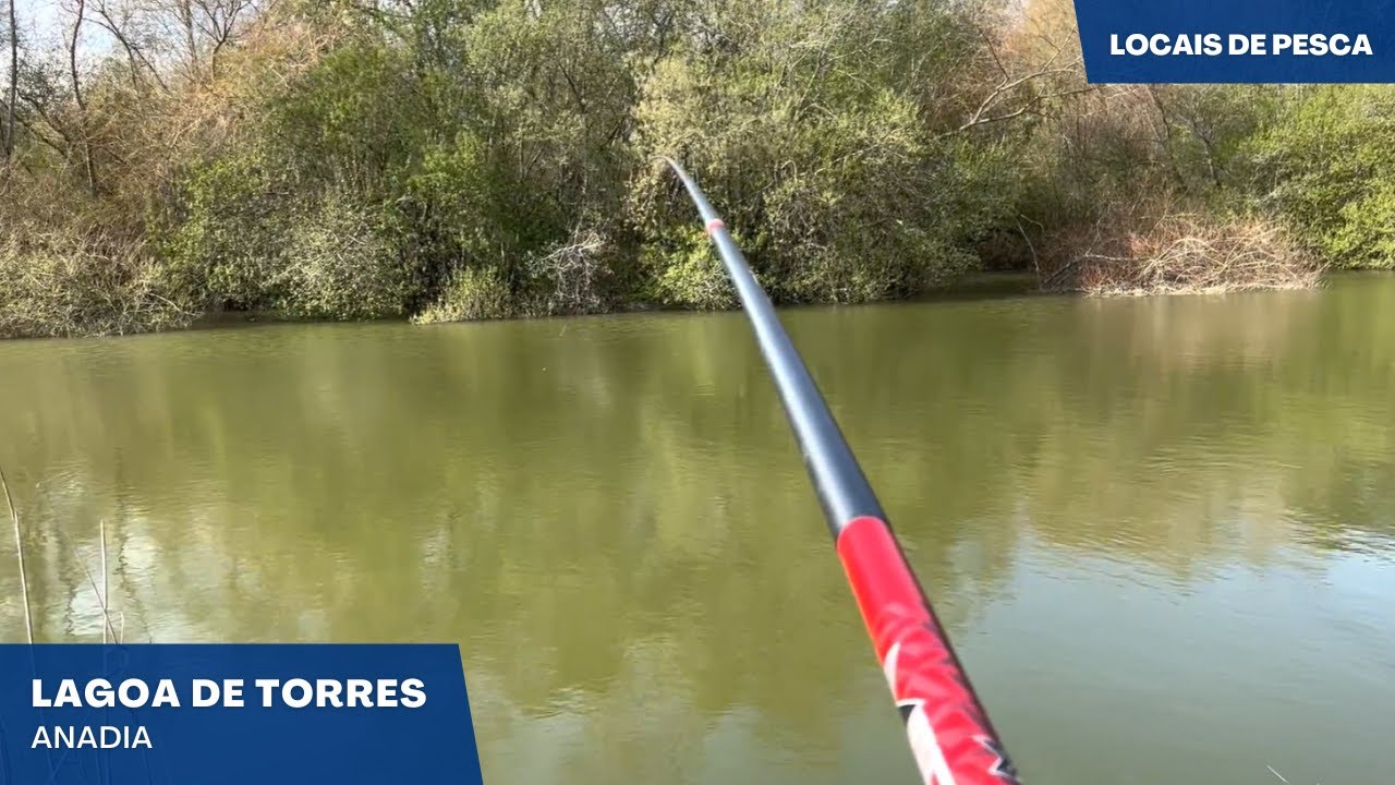 Pesca á Francesa - Lagoa de Torres