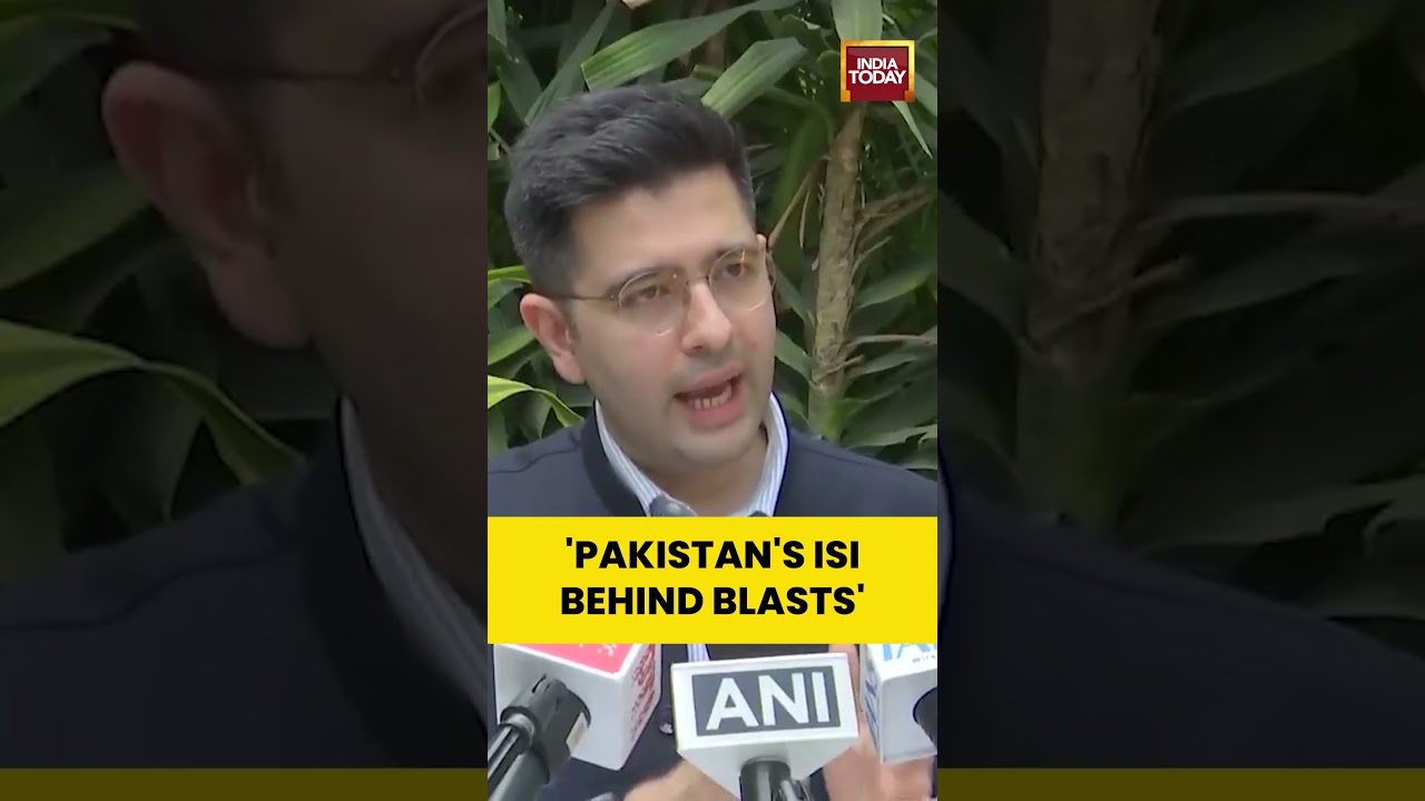 Punjab Twin Blasts: Raghav Chadha Says Pakistan&rsquo;s ISI Behind Jalandhar, Amritsar Explosions