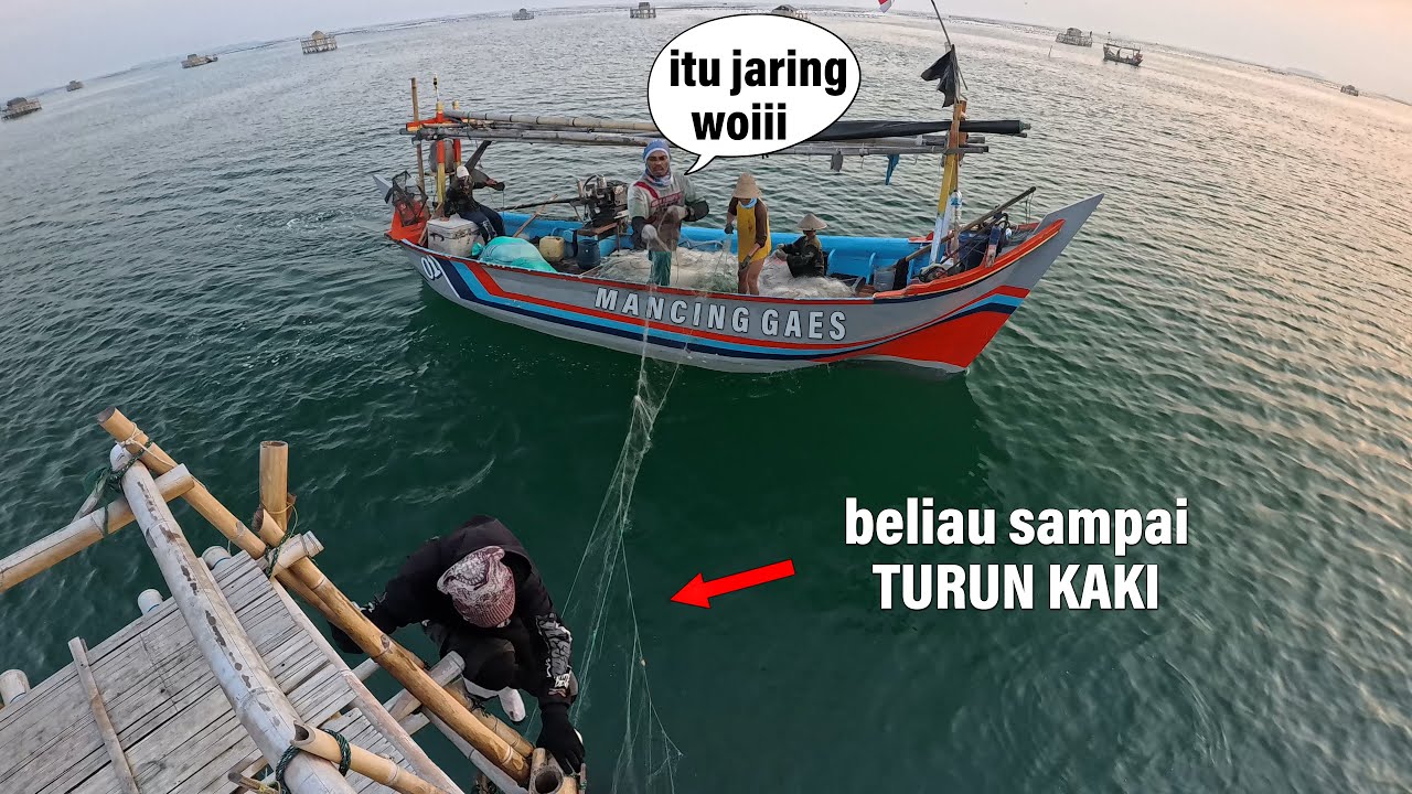 PERKARA JARING‼️Cuaca Tidak Kondusif Ikan Masih Makan 😍 Mancing Di Bagan Pertamina || Mancing Gaes