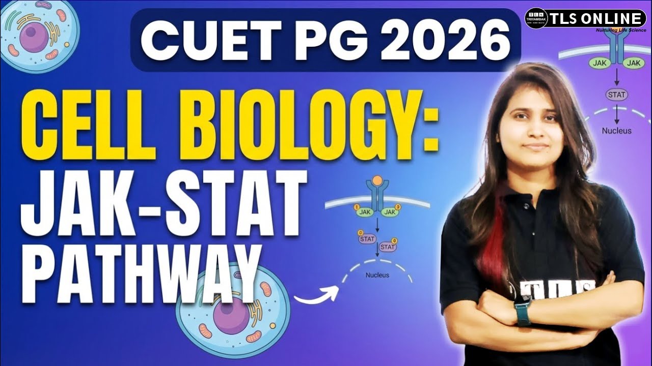 𝐂𝐔𝐄𝐓 𝐏𝐆 𝟐𝟎𝟐𝟔 | 𝐌𝐚𝐬𝐭𝐞𝐫 𝐭𝐡𝐞 𝐉𝐀𝐊-𝐒𝐓𝐀𝐓 𝐏𝐚𝐭𝐡𝐰𝐚𝐲 | 𝐂𝐞𝐥𝐥 𝐁𝐢𝐨𝐥𝐨𝐠𝐲 𝐄𝐱𝐩𝐥𝐚𝐢𝐧𝐞𝐝 | 𝐒𝐇𝐑𝐔𝐓𝐈 𝐒𝐇𝐔𝐊𝐋𝐀