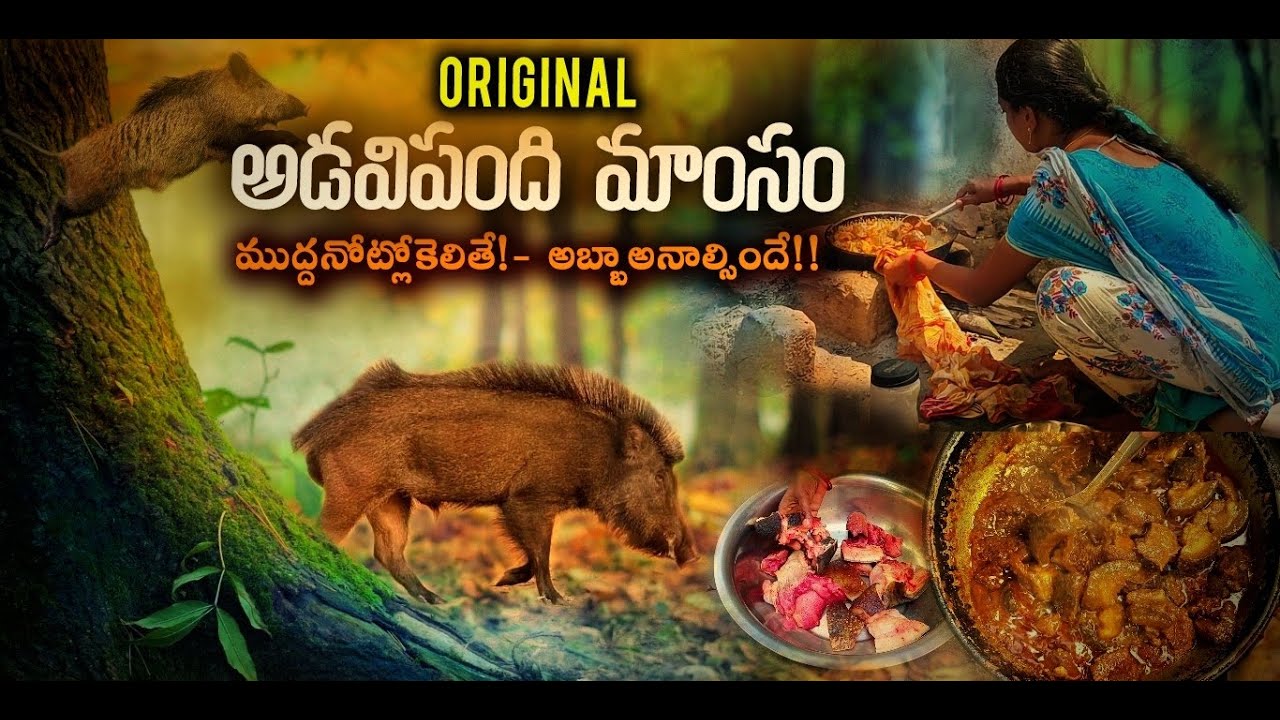 అడవిపంది  కూర😋😍  tasty wild boar curry 😋😍