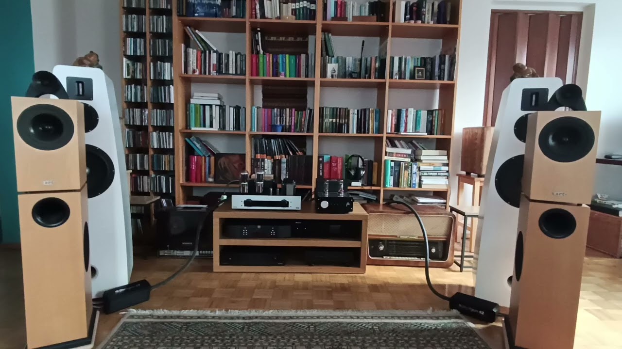 ART Loudspeakers Skibo + Audion Sterling KT77