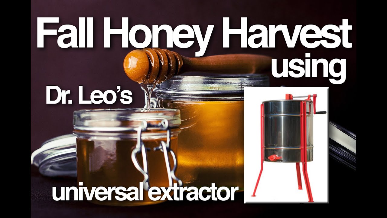 Using the Dr Leo Honey Extractor 1st time 10 07 2020