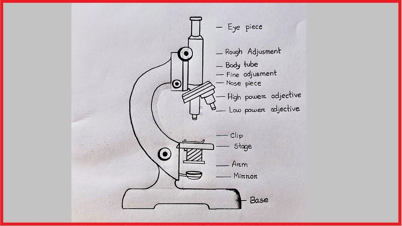 How to draw Microscope Machine ✅ Science Drawing👍 Biology Practical Drawing👍👍