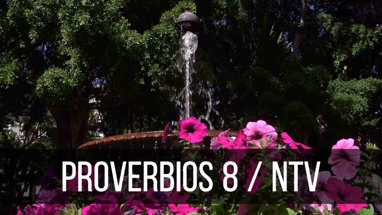 PROVERBIOS 8 NTV