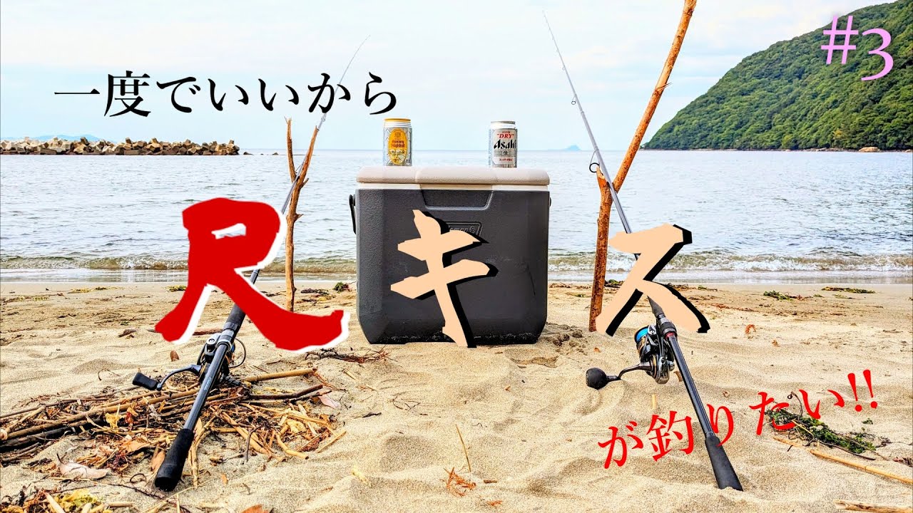 【根掛かりのない、砂地のキス釣り】一度でいいから尺キスが釣りたい!!#3【キス釣り】