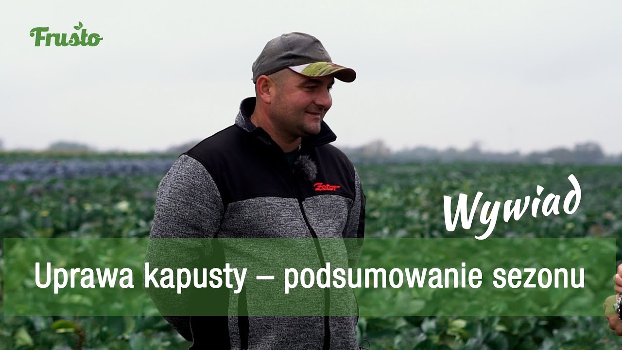 FRUSTO Serwis news // Uprawa kapusty - wywiad z producentem warzyw