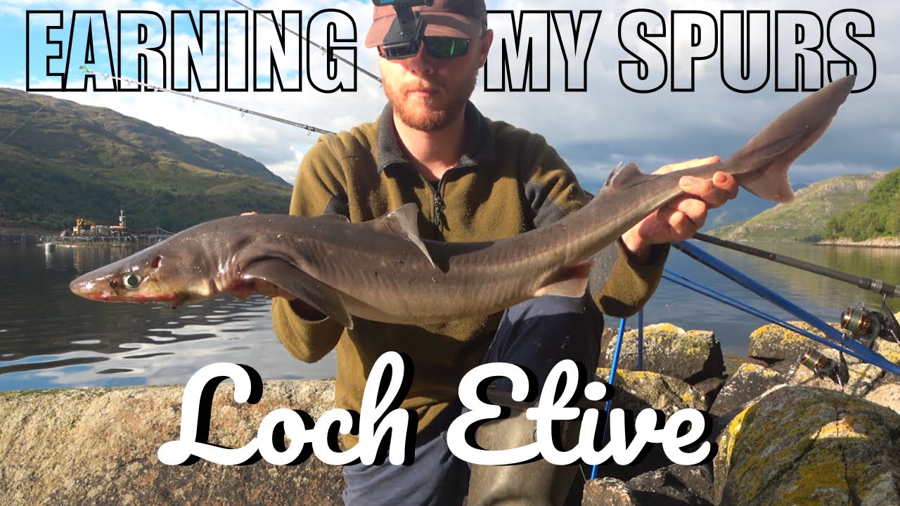 I got LOADS of BITES! Fishing for Spurdogs - Loch Etive