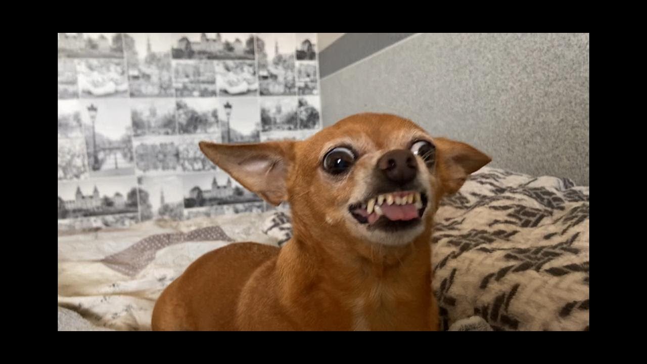 Estopinha resolveu fazer furtineo depois de muito tempo!!