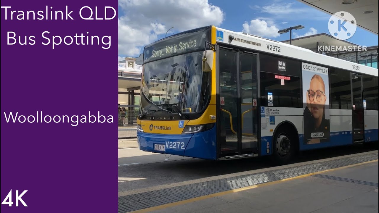Translink QLD Bus Spotting - Woolloongabba
