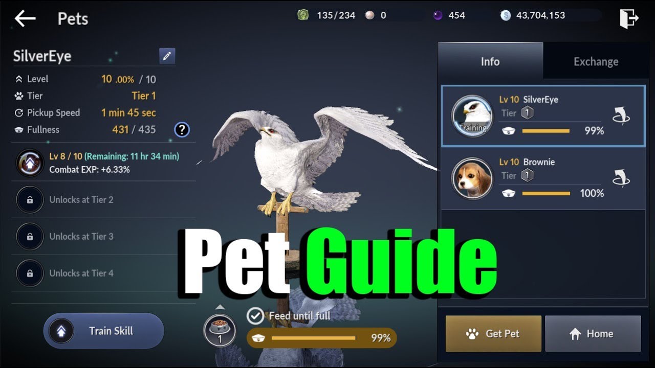 Black Desert Mobile Pet Guide & Thing You Need to Know