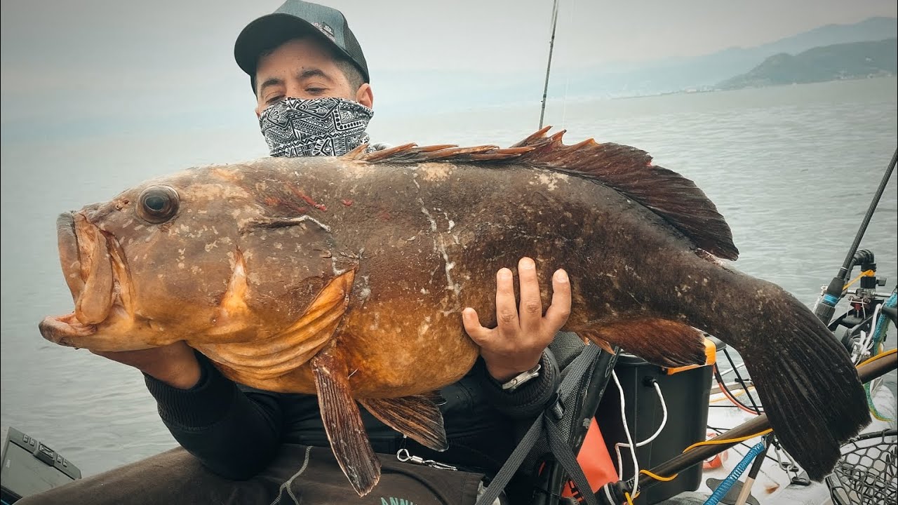 🎥 Τα ρεκόρ είναι για να σπάνε🧨Ροφός 15+ σε ψάρεμα από καγιάκ με σιλικόνη!🎣