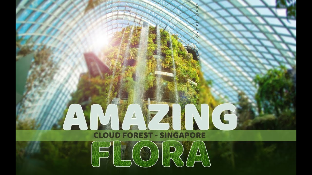 Top things about Cloud Forest Singapore I Amazing Flora I Vertical 2K