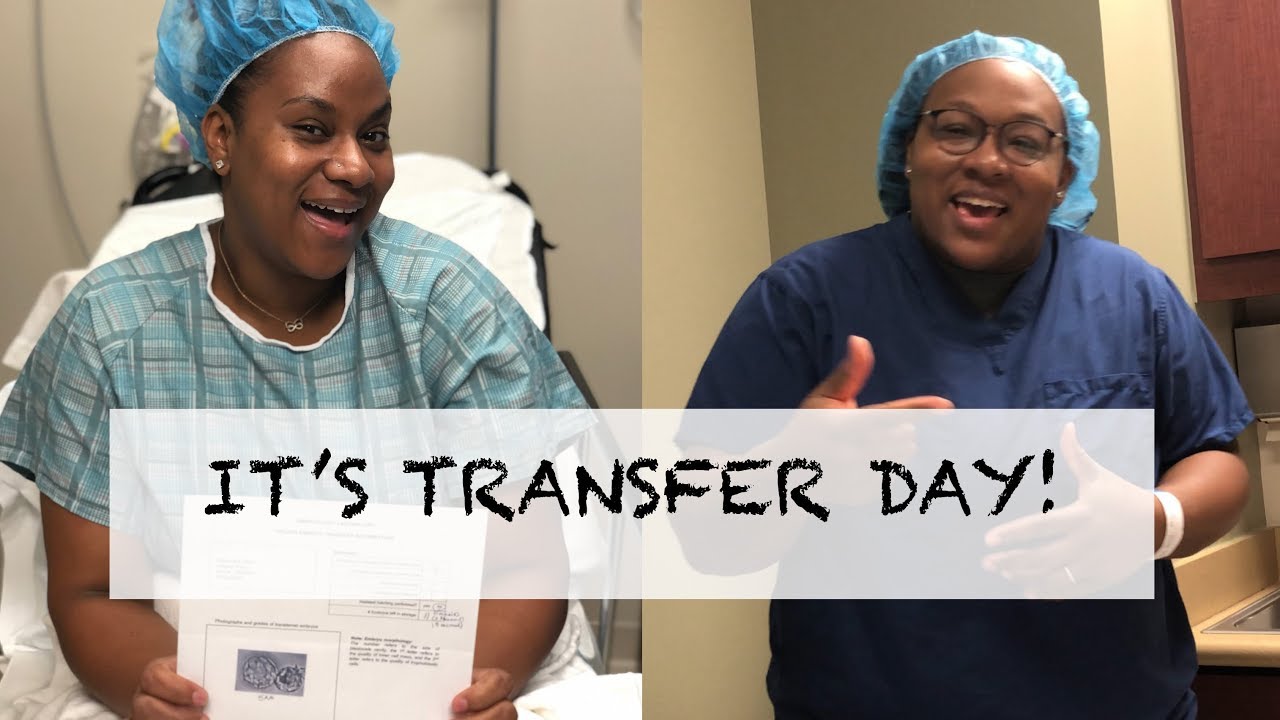 IVF Transfer Day | Lesbian TTC 2020