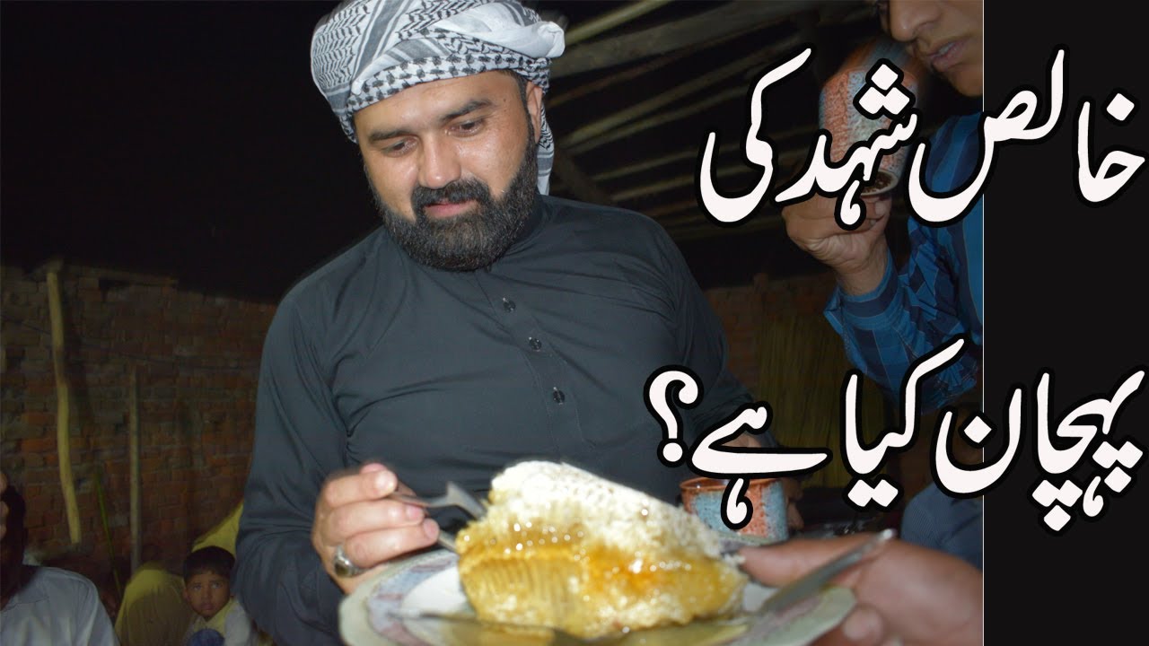 Pure Honey | Honeycomb Extraction | X Reporter
