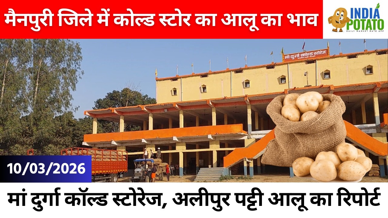 10/03/2026 : मैनपुरी जिले में कोल्ड स्टोर का आलू का भाव | Potato Price in UP - India Potato News
