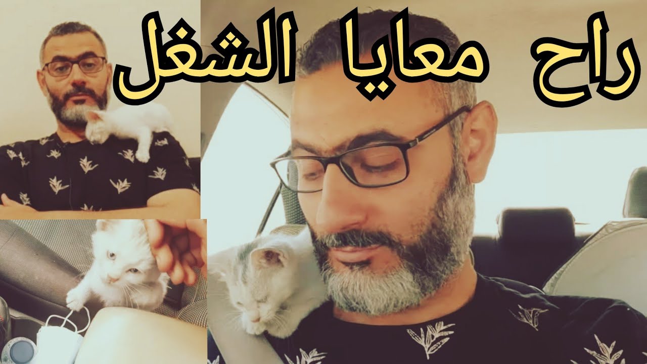 أنقذت قط صغير مشرد شوفوا شكله بعد الاستحمام وهاختار اسمه من تعليقاتكم  rescue a kitten from run over