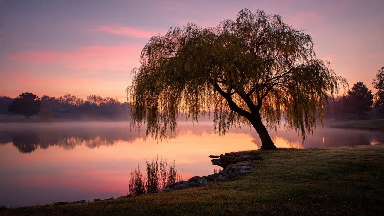 Waltz of the Dawn - Violin and String Ensemble
