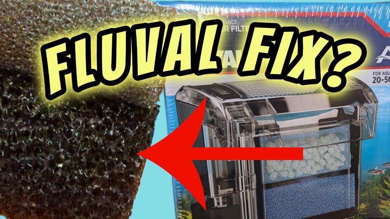New Fluval Aquaclear Filter 4-Month Update &ndash; Did My Sponge Fix Work?