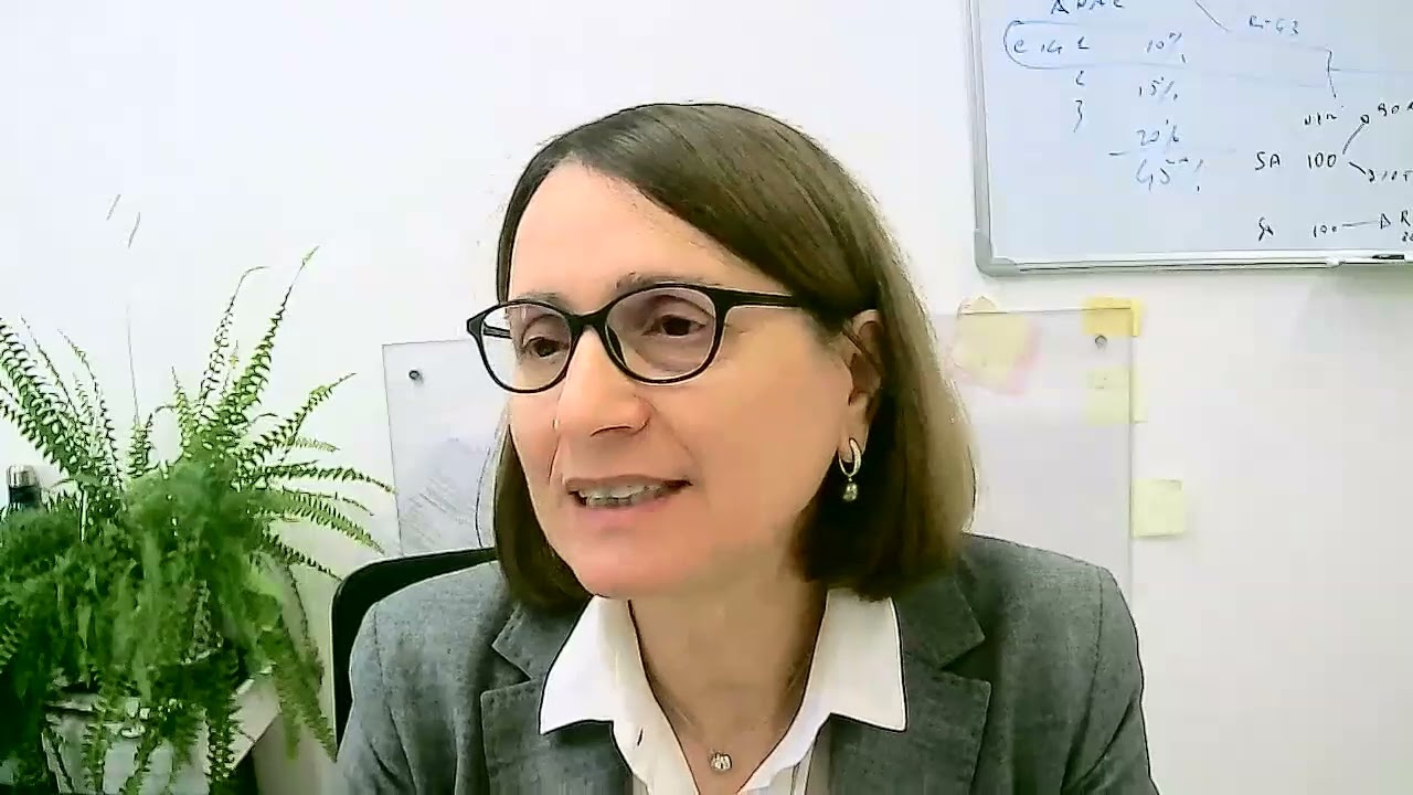 Webinar ANCI-MEF 