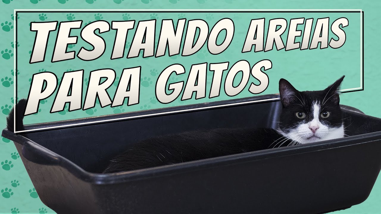 Qual Absorve Mais? | Testando Granulados Higiênicos