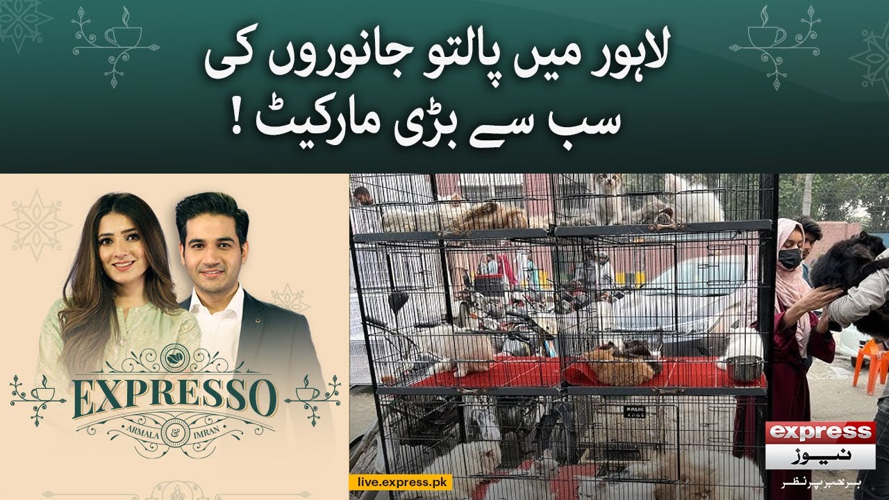 The Biggest Pet Market in Lahore! | Expresso | Express News