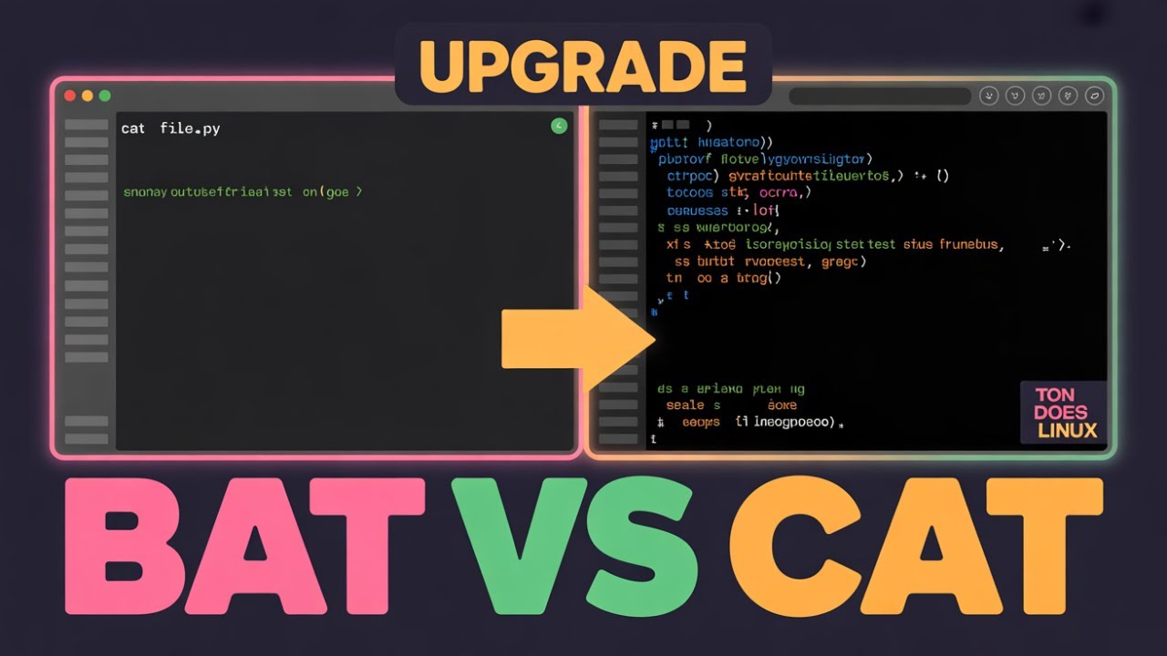 BAT: The Cat Command That Changes Your Terminal