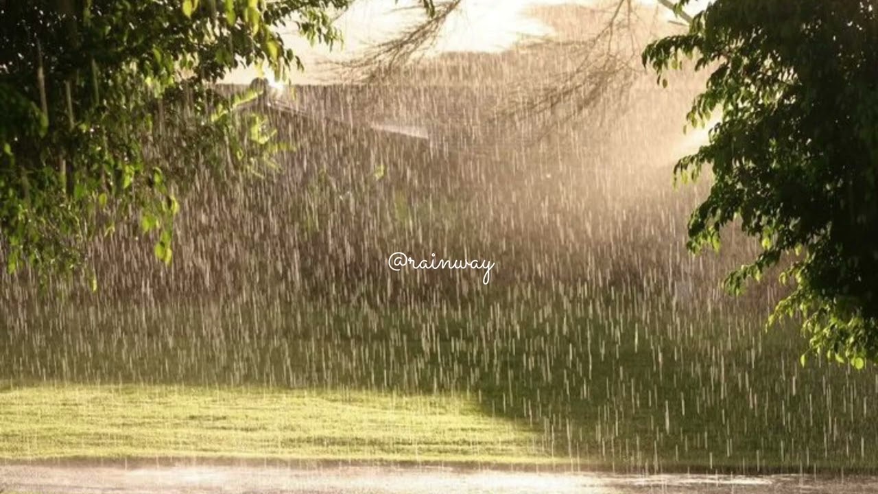 ASMR 5 Minutes of Rain Sound