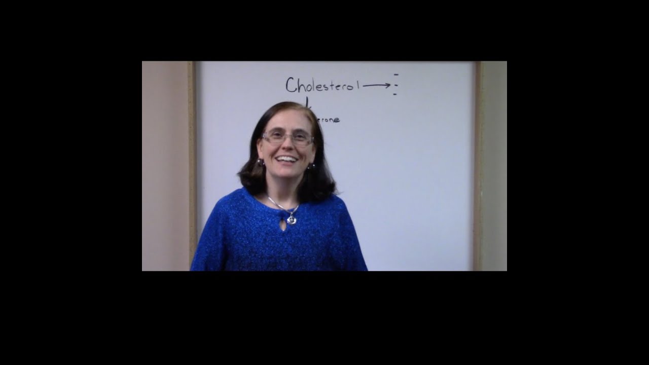 Understanding the Hormone Cascade with Dr. Smyth